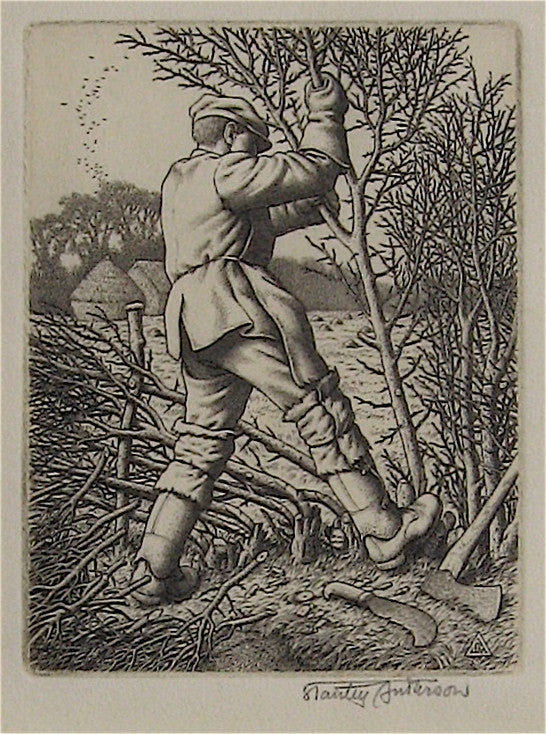 Stanley Anderson Hedge Laying