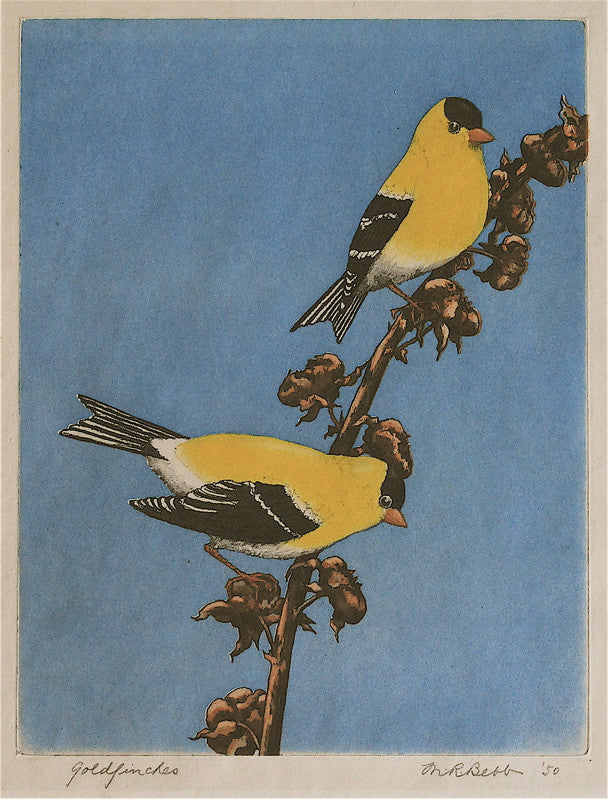 Maurice R. Bebb Goldfinches