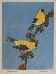 "Goldfinches " by Maurice R. Bebb, Amer., (1891-1986)