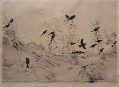 "Blackbirds and Rushes" by Frank W. Benson, Amer., (1862-1951)