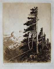 "Windswept Spruce" by George Elbert Burr, Amer., (1859-1939)