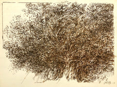 Tree Provence, by Norman Gorbaty, Amer., (1932-2020)
