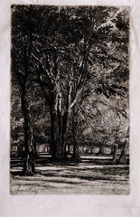 "Kensington Gardens II" by Sir Francis Seymour Haden, Eng., (1818-1910)