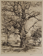 "Wayside Inn, Oaks in Spring" by Childe Hassam, Amer., (1859-1935)