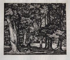 "Tree Tapestry" by Luigi Lucioni, Amer., (1900-1988)