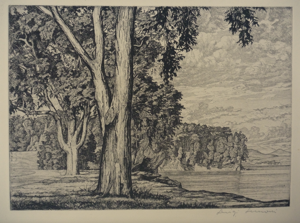 "Elms By The Lake" by Luigi Lucioni, Amer., (1900-1988)