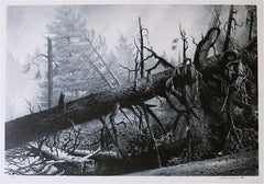 "Hurricane (Port Clyde, Maine)" by Stow Wengenroth, Amer., (1906-1978)