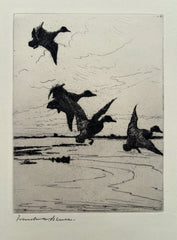 Frank W Benson, Amer., (1862-1951), Ducks Alighting