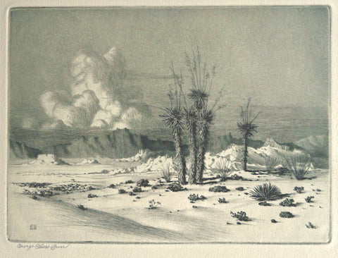 George Elbert Burr, Amer., (1859-1939), Evening, Arizona