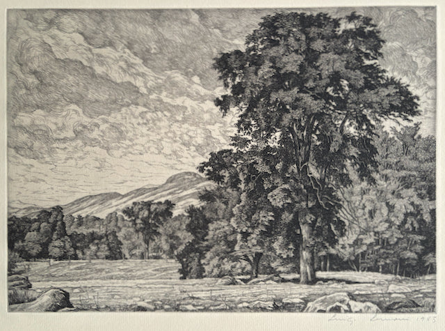 Luigi Lucioni, Amer., (1900-1988), Stony Pasture