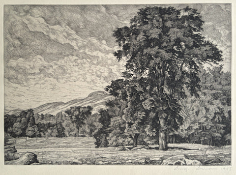 Luigi Lucioni, Amer., (1900-1988), Stony Pasture