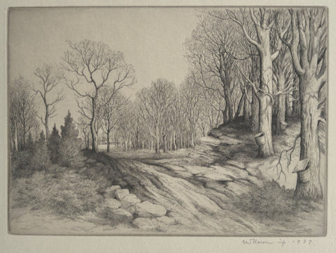 Thomas W Nason, Amer., (1889-1971), Approach of Spring