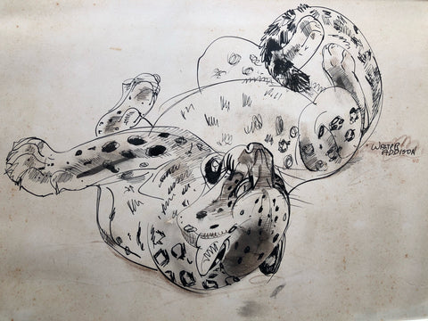 Leopard At Play, by Walter Addison, Amer., (1914-1982)