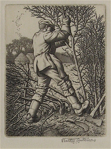 Stanley Anderson Hedge Laying 
