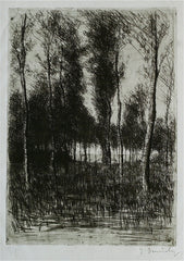 "Le Soir dans le Peupliers" by Jacques Beurdeley, Fr., (1874-1954)