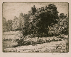 "(Copse of Trees)" by William H. Bicknell, Amer., (1860-1947)