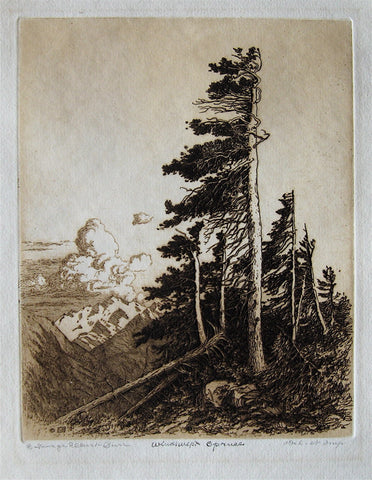 George Elbert Burr Windswept Spruce