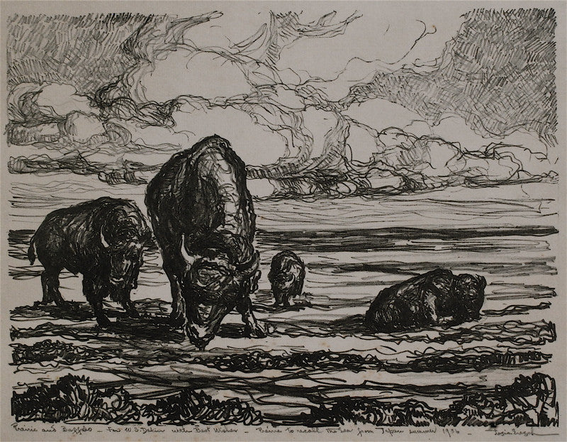 Josie Eresch Buffalo and Prairie