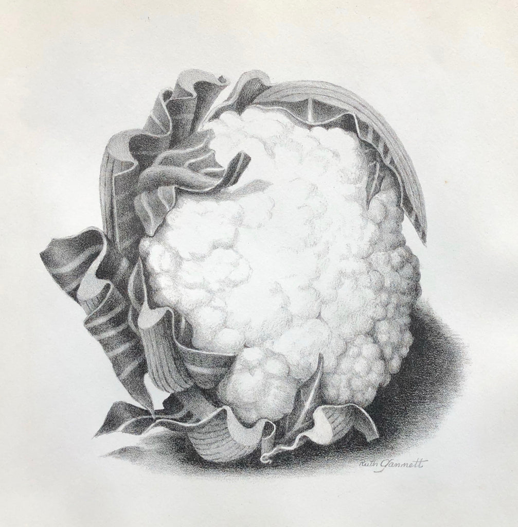 Cauliflower, by Ruth Chrisman Gannett, Amer., (1896-1979)