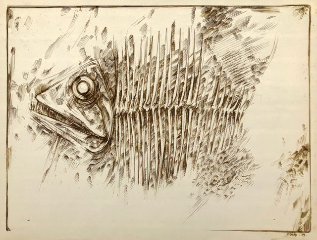 Fish by Norman Gorbaty, Amer., (1932-2020)