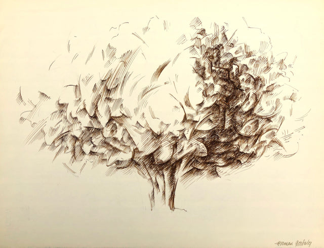 Olive Tree, by Norman Gorbaty, Amer., (1932-2020)