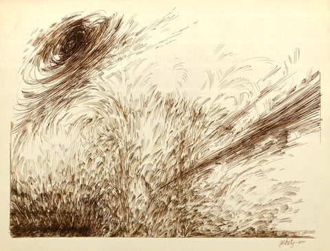 Turbulence, by Norman Gorbaty, Amer., (1932-2020)