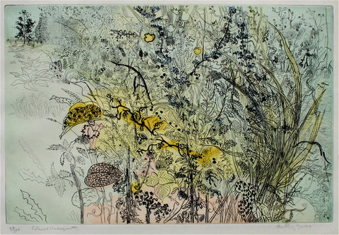Anthony Gross Coloured Undergrowth