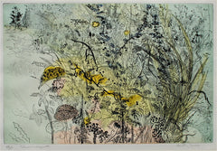 "Coloured Undergrowth" by Anthony Gross, Eng., (1905-1984)