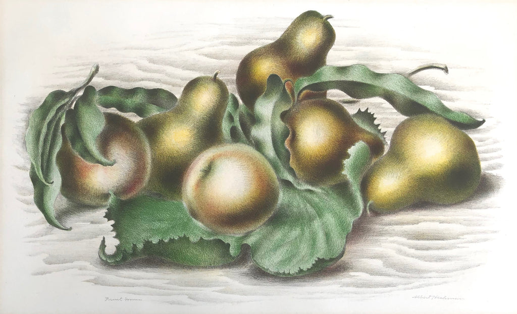 "Fruit Forms" by Albert Heckman, Amer., (1893-1971)