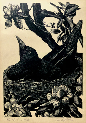 Blackbird on Nest, Clare Leighton, Eng.-Amer., (1898-1989)