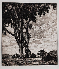 "Hilltop Elms" by Luigi Lucioni, Amer., (1900-1988)
