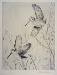 "Woodcock and Alders" by William J. Schaldach, Amer., (196-1982)