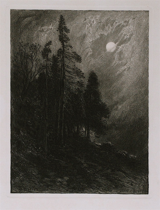 James D. Smillie Cedars by Moonlight