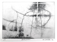 "Snaggletooth" by Dan Welden, Amer., (B.1941)
